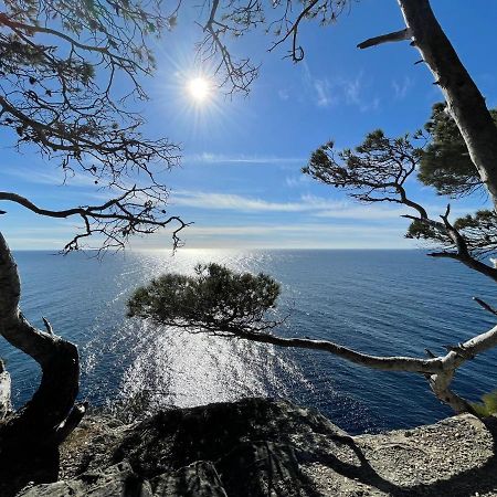 Appartement En Residence Privee, Face A La Mer Avec Acces Direct Plage Hyeres Luaran gambar