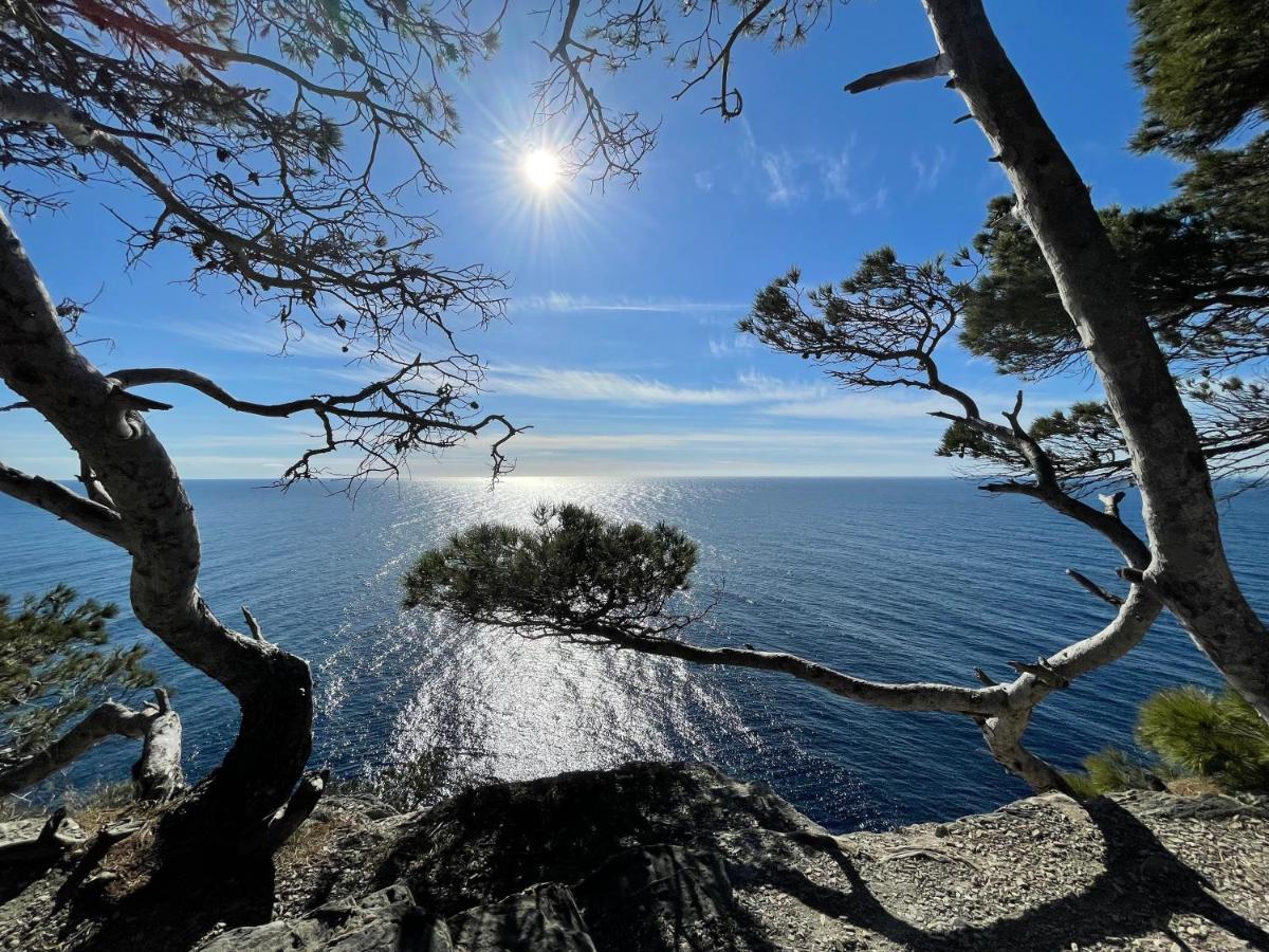 Appartement En Residence Privee, Face A La Mer Avec Acces Direct Plage Hyeres Luaran gambar